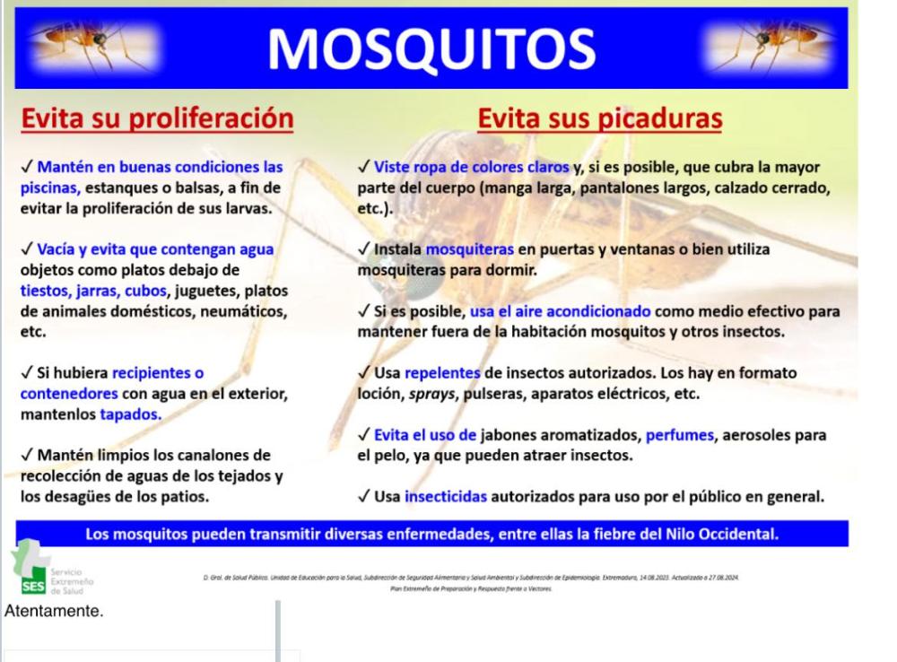 Imagen Se aconseja a la población seguir las indicaciones recomendadas por el Servicio Extremeño de Salud.